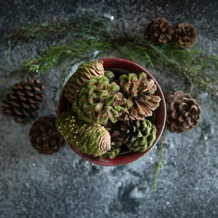 Pinecone, Moss & Sequin Bowl Filler