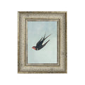 Swallow Boraston, 5 X 7 in. features a vintage-style framed illustration of a swallow bird in flight against a soft blue background, perfect for adding charming decor to any room.
