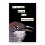 Funny Magnet, Down to Clown 1