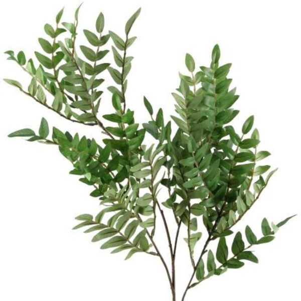 Locust Spray, 24 in. with lush green leaves, perfect for adding natural decor accents to any room, available from Knotty and Board, every room needs a little Knotty and Board.