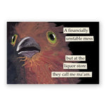 Funny Magnet, Liquor Store 1