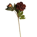 Peony Spray, Burgundy, 19 in. with deep burgundy petals and green leaves, perfect for adding elegant decor or gifts to any room, from Knotty and Board. Every Room Needs A Little Knotty and Board.