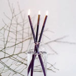 Three lit black everlasting candles arranged in a glass vase, styled with bare branches in the background, showcasing the Everlasting Candle Black, Candles Only, Set of 3. 1