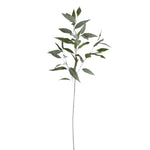 Frosty Eucalyptus, 41 in. artificial eucalyptus branch with slender green leaves, perfect for home decor and adding a natural touch to any room from Knotty and Board. 1