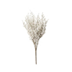 White Dance Plant Bush 14.5