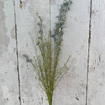 Wildflower Spray, 24 in., Carolina 2
