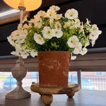 Potted White Petunia, Small, 13 x 13 x 11.8 in. 2
