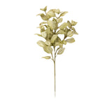 Perilla Spray, Green, 24 in. artificial greenery stem perfect for adding natural decor accents to kitchen, dining, or living spaces, ideal for gifts from Knotty and Board. 1