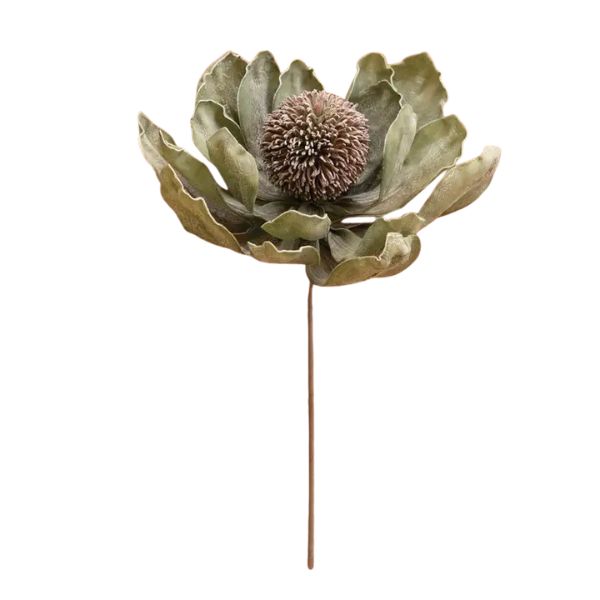 Botanica #3689, 28 in.