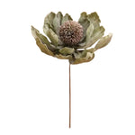 Botanica #3689, 28 in. 1