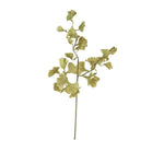 Botanica #3558, 40 in. 1