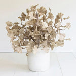 Botanica #3558, 40 in. 2