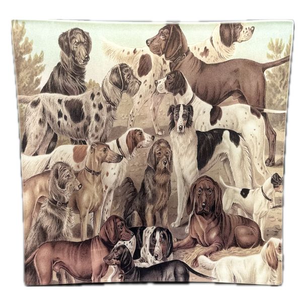 Family of Dogs Plate, 7.75 in.