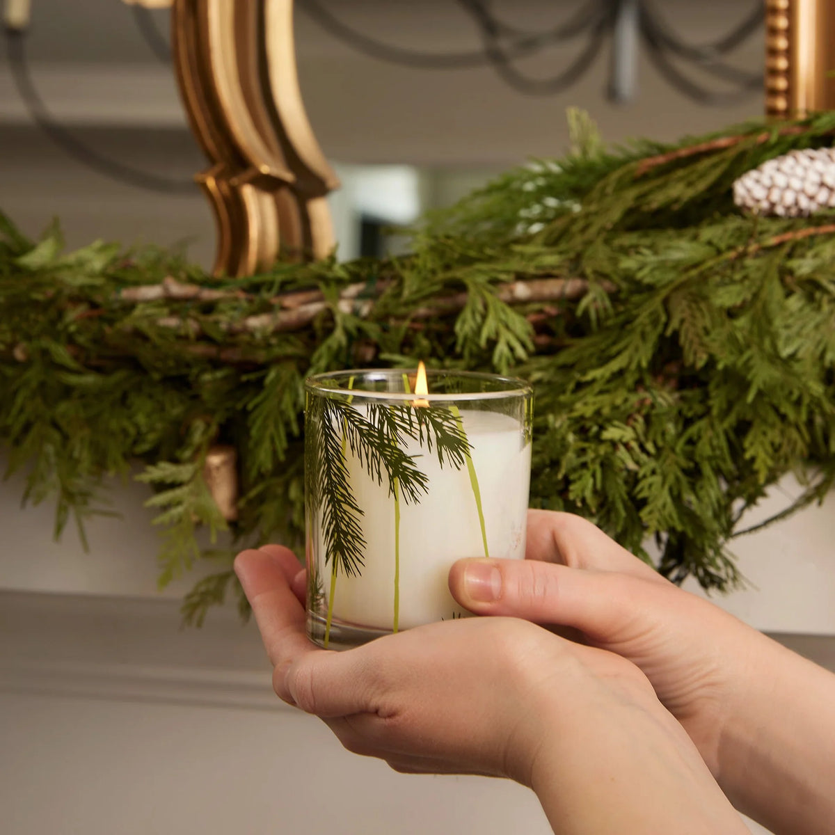 Thymes Pine Needle Design Glass  Poured Candle, 6.5 oz., Frasier Fir
