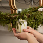 Thymes Pine Needle Design Glass  Poured Candle, 6.5 oz., Frasier Fir 2