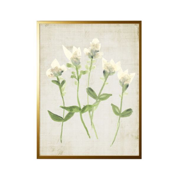 Tissue and Watercolor Ivory Flowers, Black Frame, 10 X 8 in.