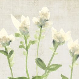 Tissue and Watercolor Ivory Flowers, Black Frame, 10 X 8 in.