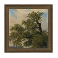 Painted Trees Framed Antique Art, 9 X 9 in. featuring a vintage style tree illustration in a rustic wood frame, perfect for decor and gifts from Knotty and Board. Every Room Needs A Little Knotty and Board.