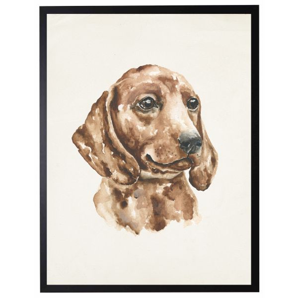 Watercolor P Artwork, Dachshund, 8 X 10 in.