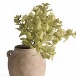 Perilla Spray, Green, 24 in. 2