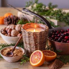 Porch View Simmering Cranberry Candle, 5 in.
