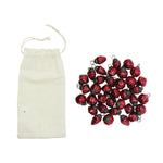 Mercury Glass Ornaments in Muslin Bag, Red, Set of 36 1