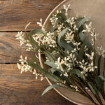 Flowering Eucalyptus Branch 2