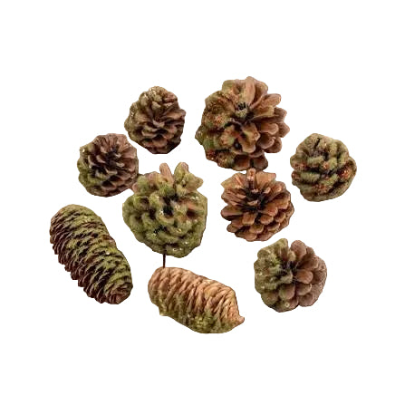 Pinecone, Moss & Sequin Bowl Filler