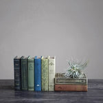 Book Storage Boxes with Garden Studies Prints, Assorted, Set of 2 2