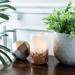 Illumination Fragrance Warmer Deluxe, Tiger Shell, 6.5 in. 2