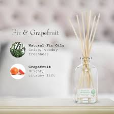 Barr Co Fir & Grapefruit Diffuser, 8 oz