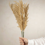 Wheat Stem 2