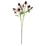 Thistle Eryngium Sea Holly Bundle, Wine Burgandy, 26 in. featuring deep red blooms and green foliage, perfect for adding elegant decor and gift appeal from Knotty and Board. 1