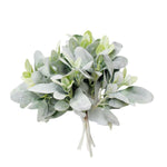 Flocked Lamb's Ear Bundle, 14 in. featuring soft, silvery-green leaves perfect for adding natural decor accents to any room, from Knotty and Board’s curated gift collection. 1
