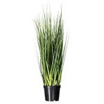 Tall, lush green grass in a black pot, ideal for home decor, kitchen accents, or gifts, featuring the Extra Full Grass Potted, 24 in. from Knotty and Board. 1