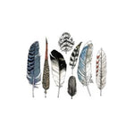 Watercolor Feather Tattoos, Set of 8 featuring a variety of delicate feather designs in soft blues, blacks, and browns, perfect for adding unique decor and gift accents from Knotty and Board. 1
