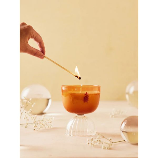 Rewined Coupe Candle, 7 oz., Mimosa