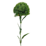 Dianthus Ball Stem, Deep Green, 21.5 in. 1