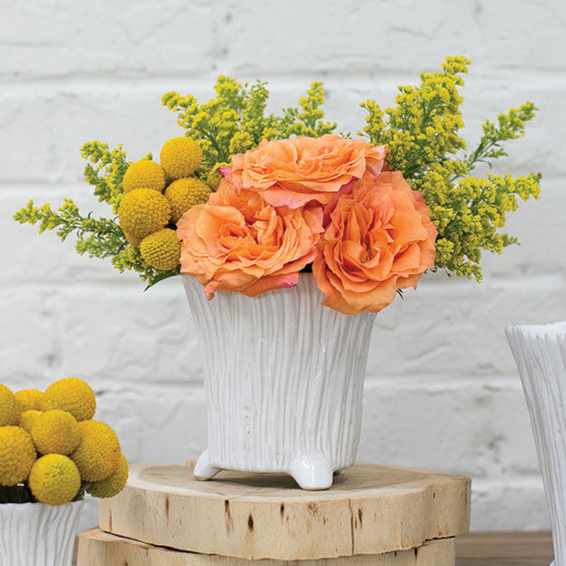 Mellie Footed Pot, 7 X 6.5 in.