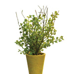 Potted Fern, 8 in. 1