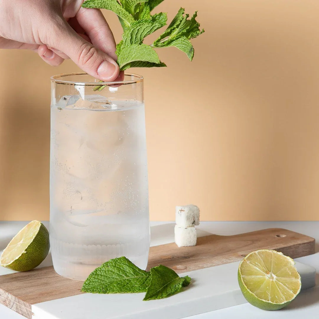 Teaspressa Luxe Stick Mixology Cubes, Mojito