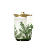 Thymes Heritage Pine Needle Luminary, 11 oz., Medium, Frasier Fir 1