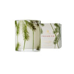 Thymes Pine Needle Design Glass  Poured Candle, 6.5 oz., Frasier Fir 1