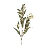 Flowering Eucalyptus Branch with delicate white blooms and green leaves, perfect for adding natural decor to any kitchen, dining, or living space from Knotty and Board. 1