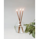 Everlasting Candles Champagne, Candles Only, Set of 3 displayed lit in a clear round glass vase with green leafy decor nearby, adding elegant decor for kitchen or dining. 1