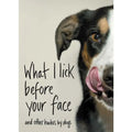What I Lick Before Your Face