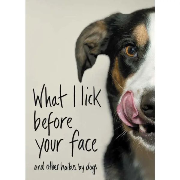 What I Lick Before Your Face