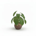 Real Touch Pu Philo Leaf 2