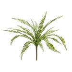 Button Fern Bush, 17 in. with vibrant green leaves, perfect for adding natural decor and a fresh touch to any room or gift setting from Knotty and Board. 1