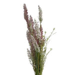 Wildflower Spray, 24 in., Ballet featuring delicate tall stems with soft pink and white blooms, perfect for adding elegant decor and a natural touch to any room. 1
